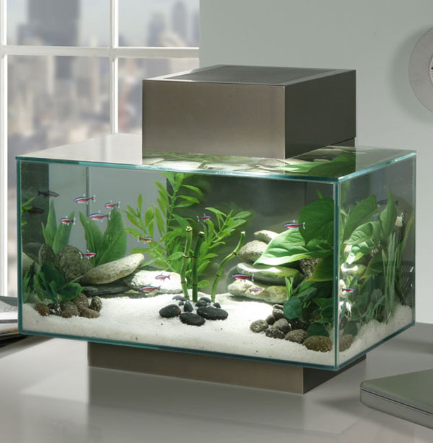 nano-aquarium-fluval-edge